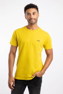 Fished Branded T-Shirt Antique Moss